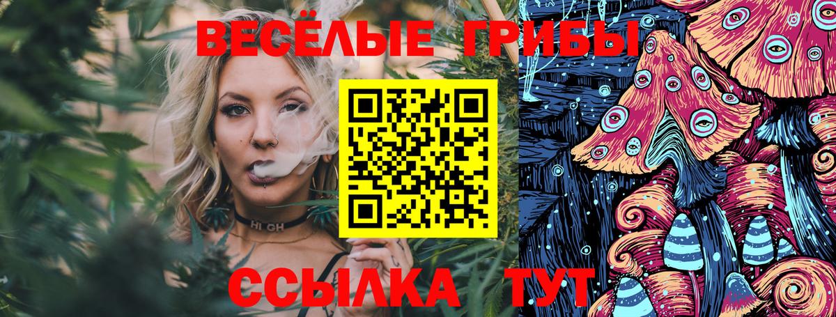 Псилоцибиновые грибы Magic Shrooms  Вход с VPN  Заринск 
